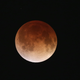 Ilustración para el artículo titulado El último eclipse lunar total (la luna de sangre), en imágenes